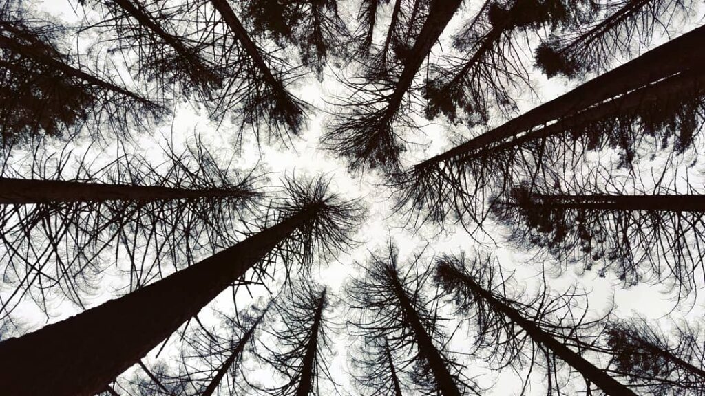 Travel & nature photography by Wasim Muklashy