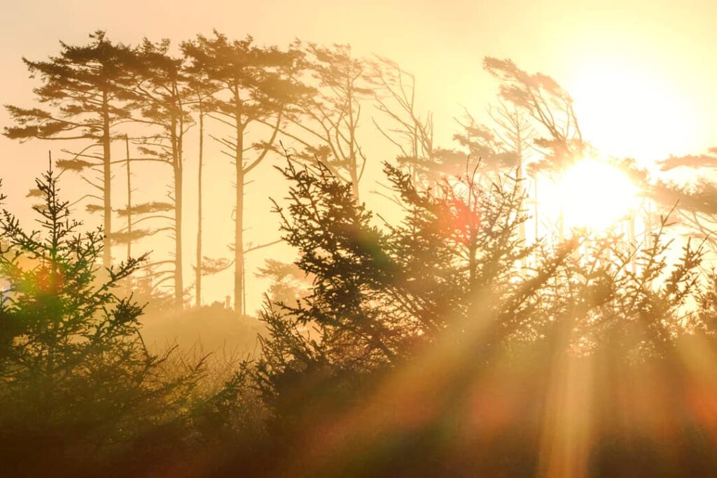 Travel & nature photography by Wasim Muklashy