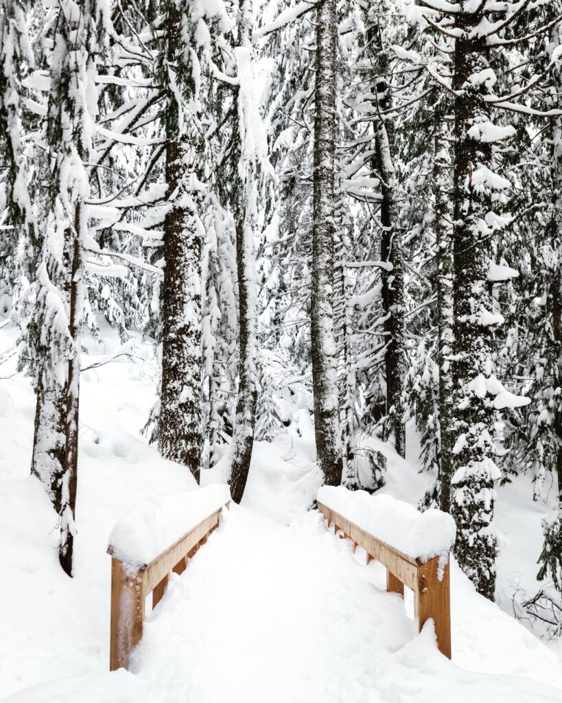 Travel & nature photography by Wasim Muklashy