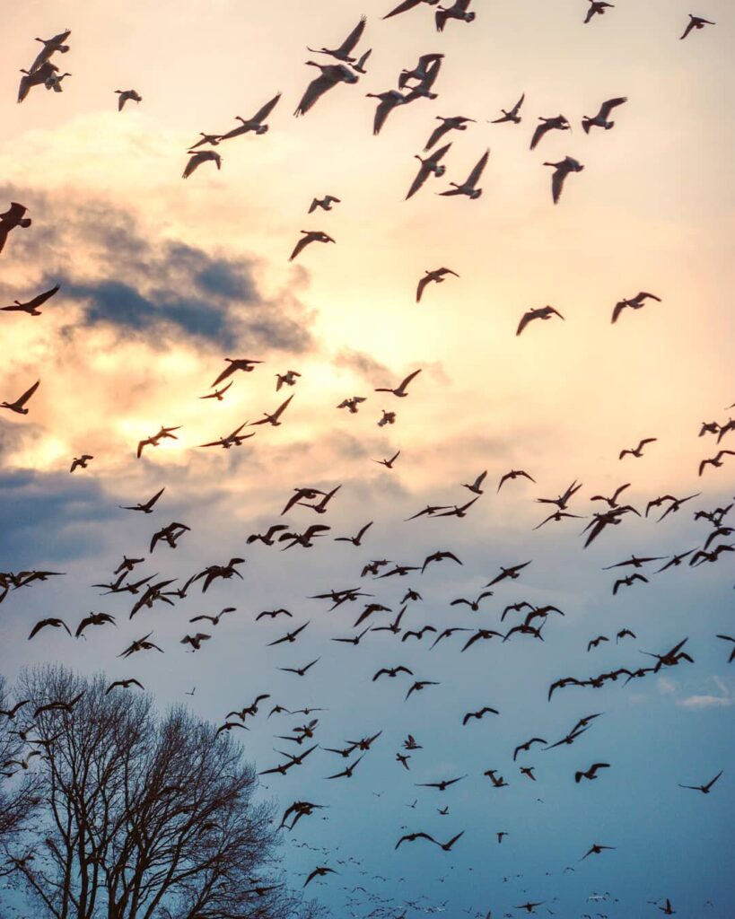 Travel & nature photography by Wasim Muklashy