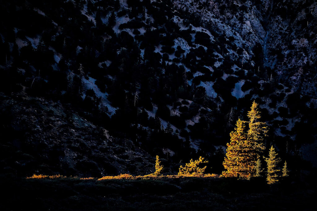 Travel & nature photography by Wasim Muklashy