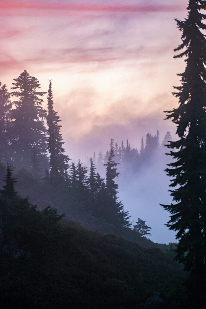 Travel & nature photography by Wasim Muklashy