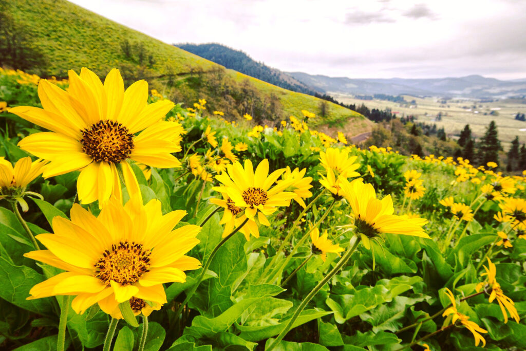 Travel & nature photography by Wasim Muklashy