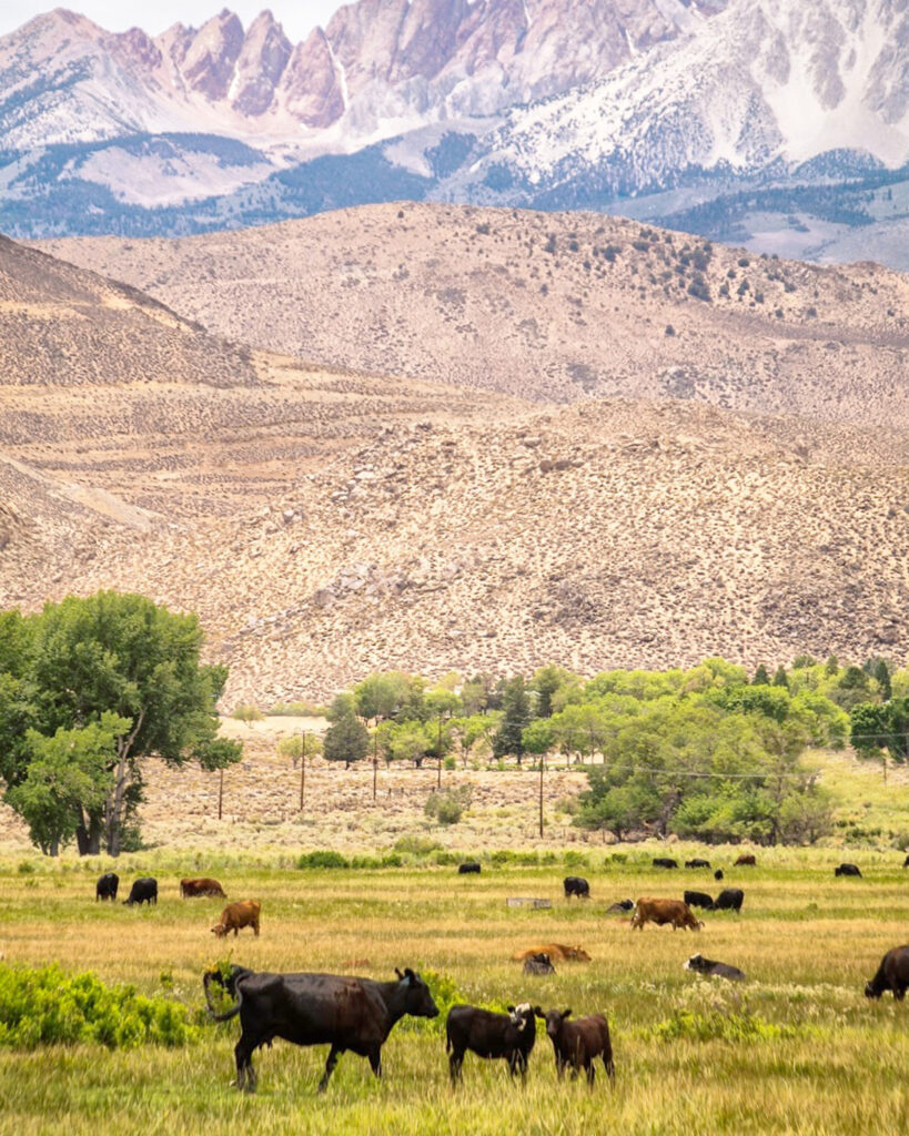 Travel & nature photography by Wasim Muklashy