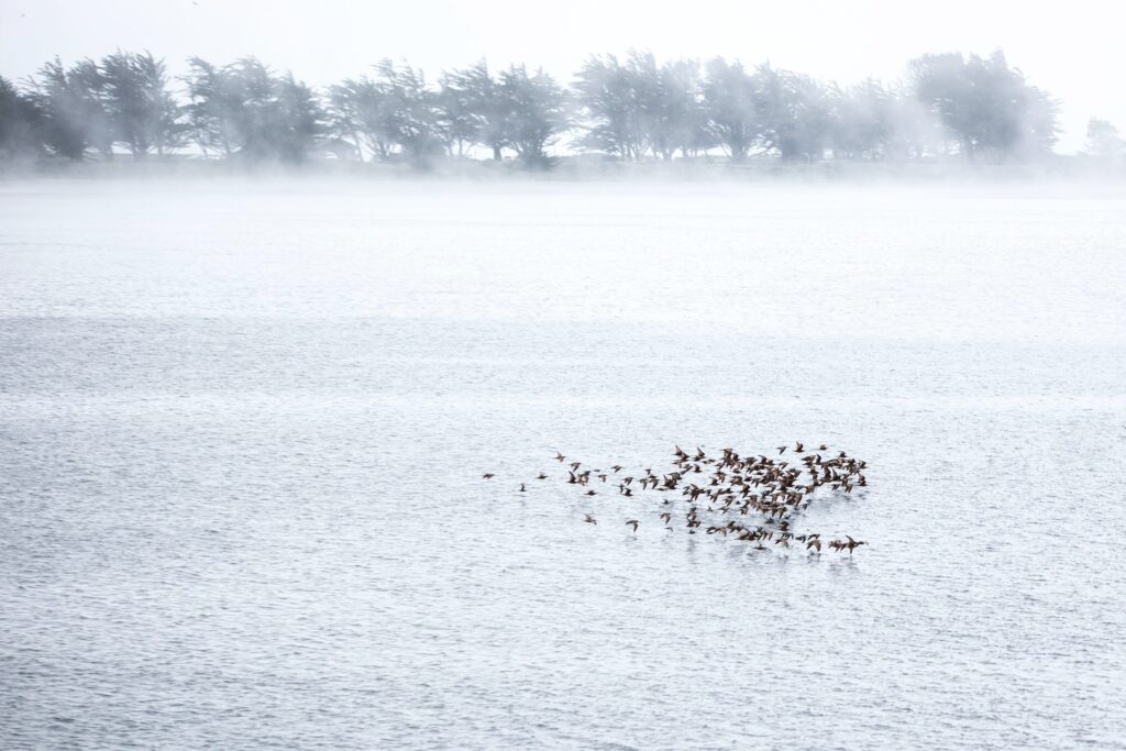 Travel & nature photography by Wasim Muklashy