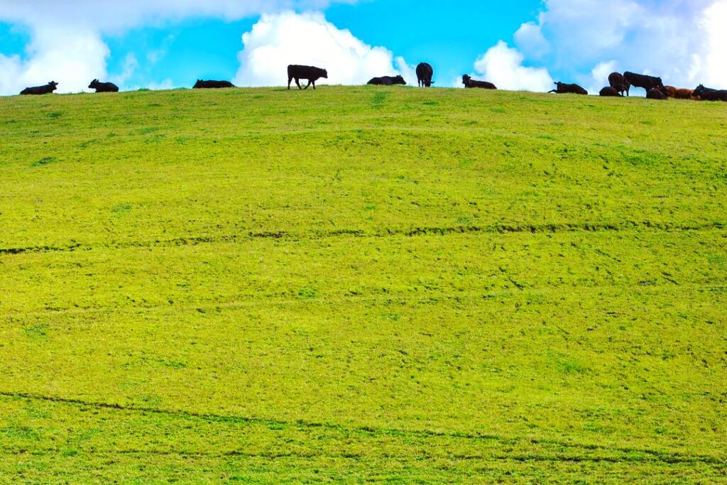 Travel & nature photography by Wasim Muklashy