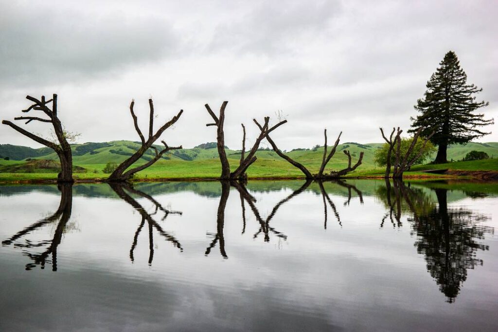 Travel & nature photography by Wasim Muklashy