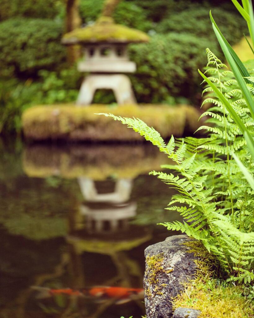 Travel & nature photography by Wasim Muklashy