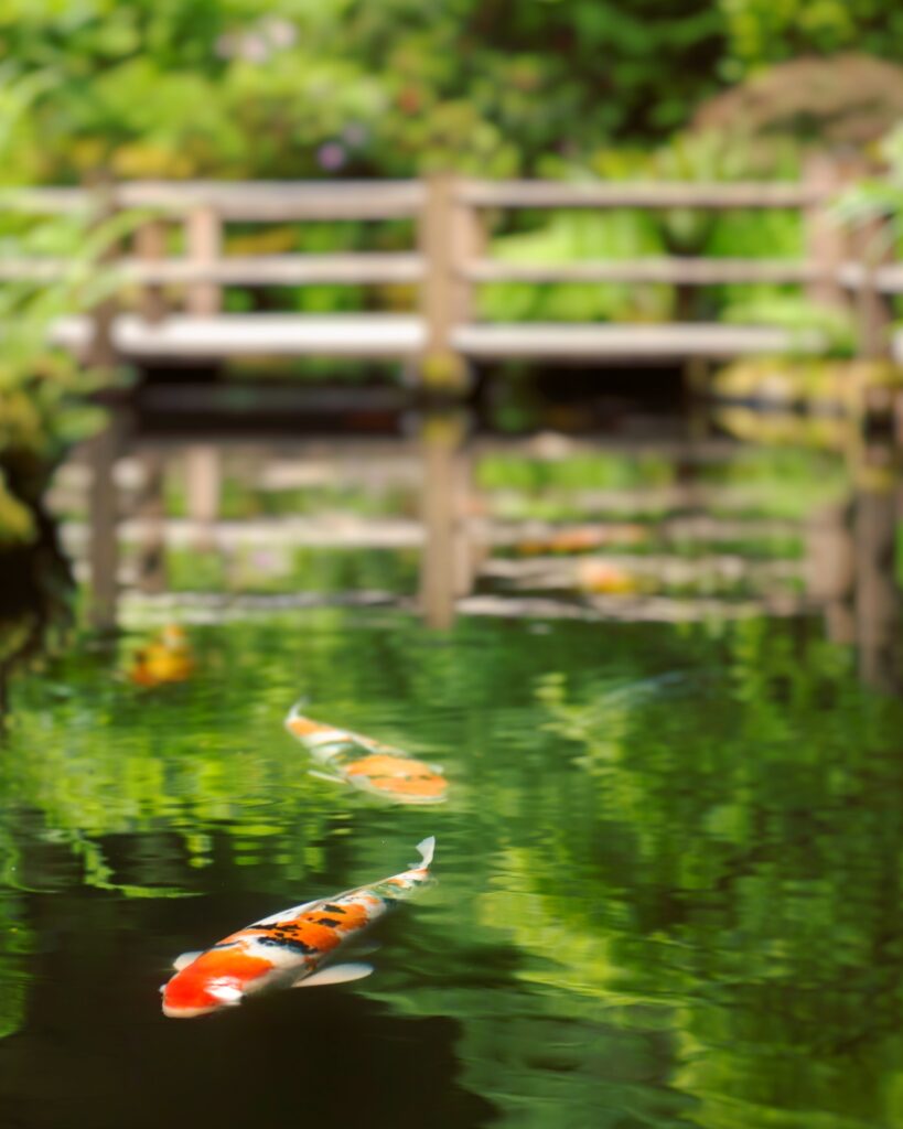 Travel & nature photography by Wasim Muklashy