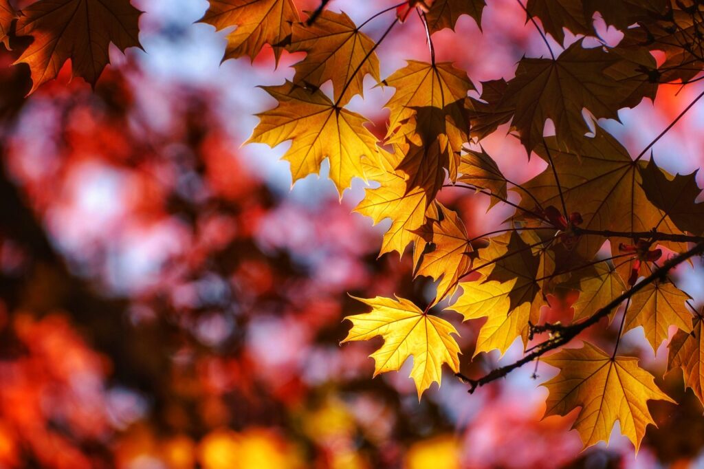 Travel & nature photography by Wasim Muklashy
