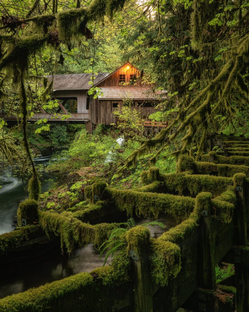 Washington State Cedar Creek Grist Mill 201 — Landscape & nature photography by Wasim Muklashy