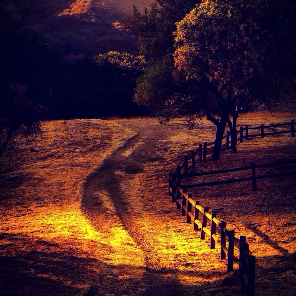 Wasim muklashy photography instagram 131 — photograph by Wasim Muklashy
