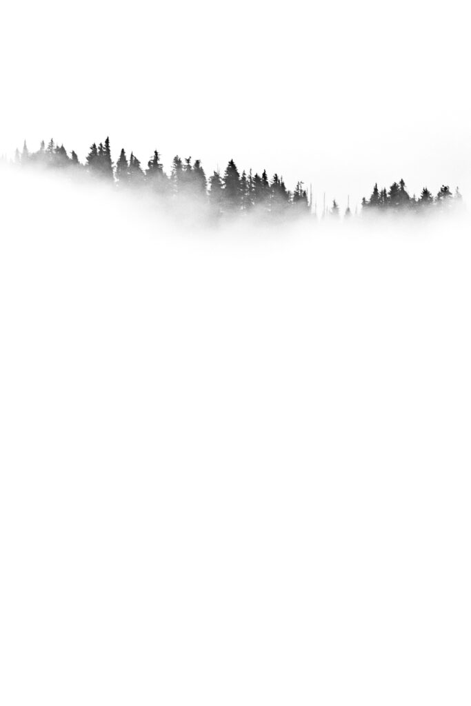 Wasim of Nazareth Mount Rainier National Park Washington 102B Full Size — Landscape & nature photography by Wasim Muklashy