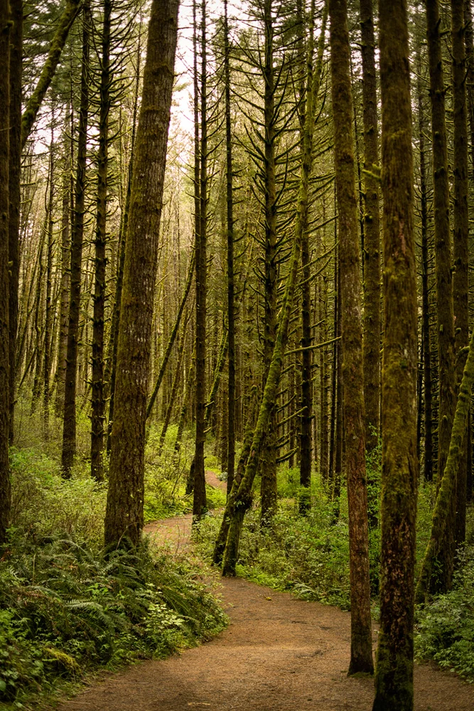 Pacific northwest nx30