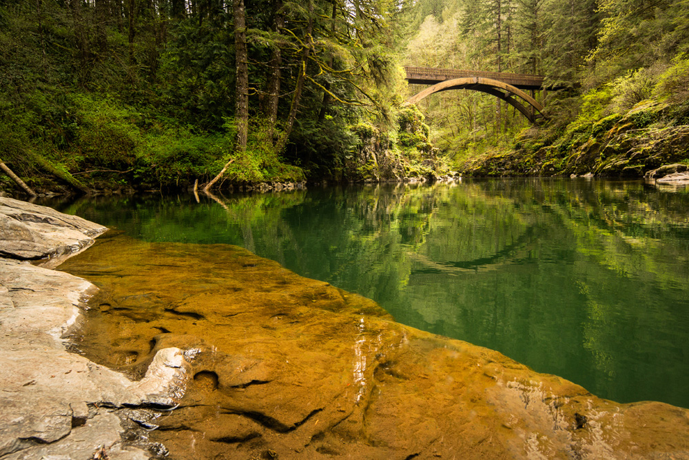 Pacific northwest nx30