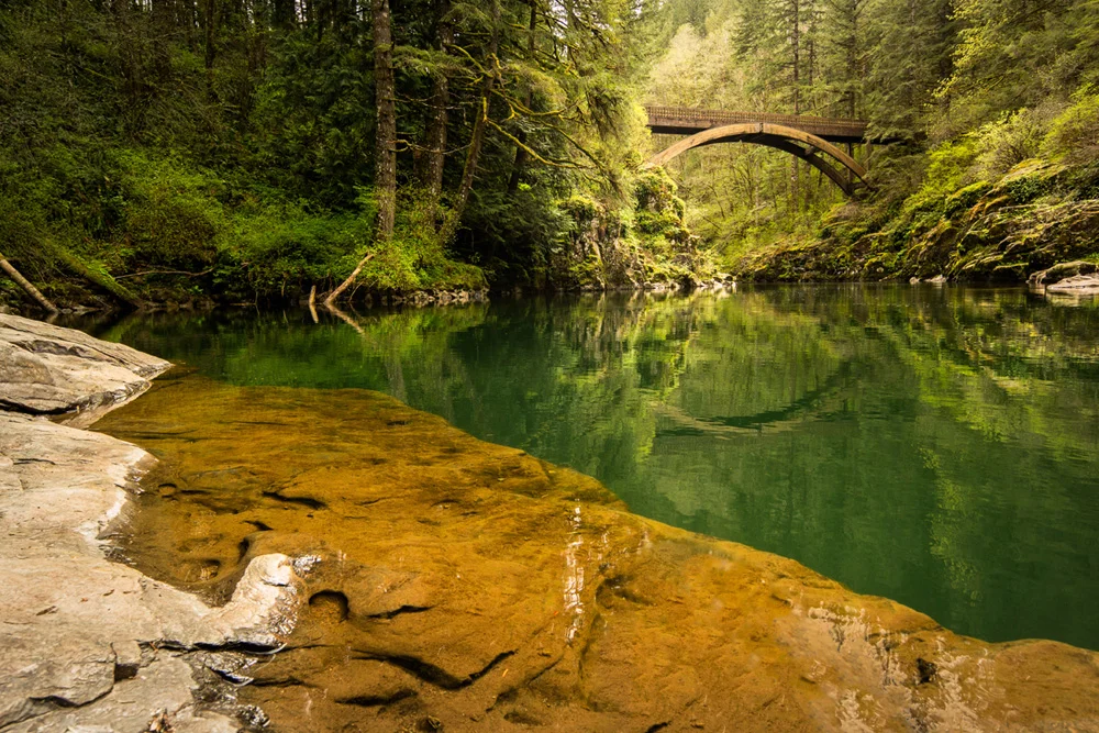Pacific northwest nx30