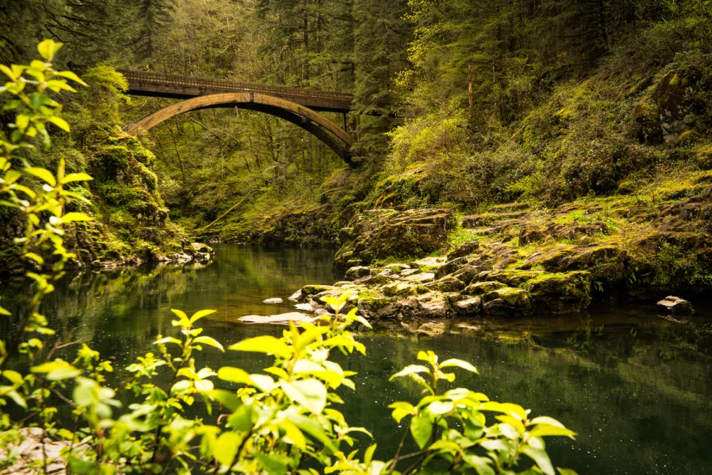 Pacific northwest nx30