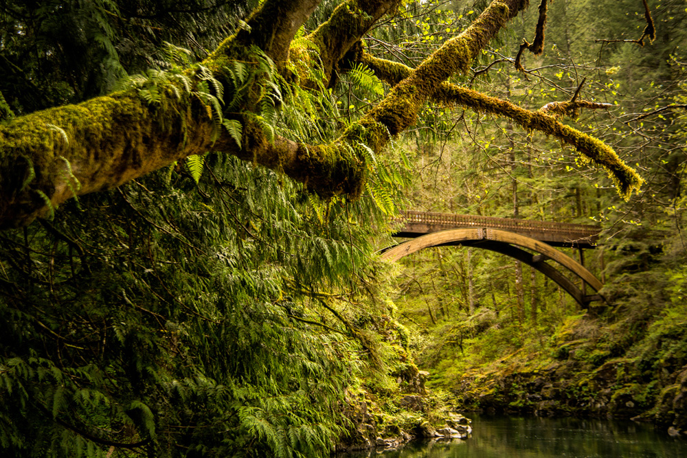 Pacific northwest nx30
