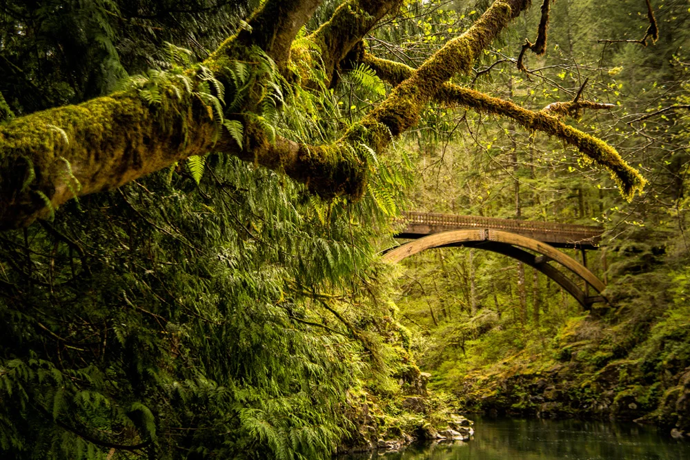 Pacific northwest nx30