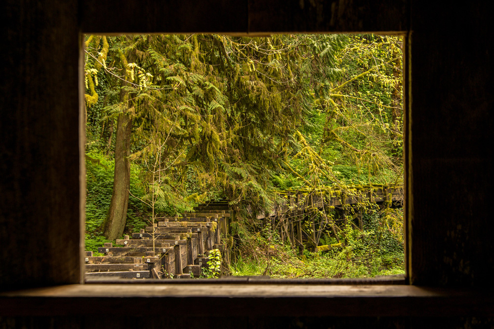 Pacific northwest nx30