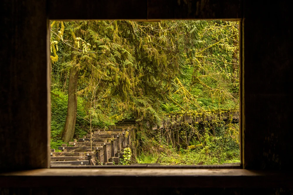 Pacific northwest nx30