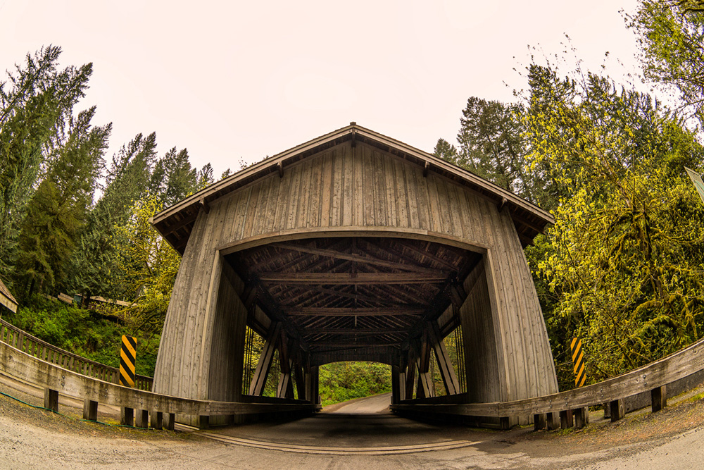 Pacific northwest nx30
