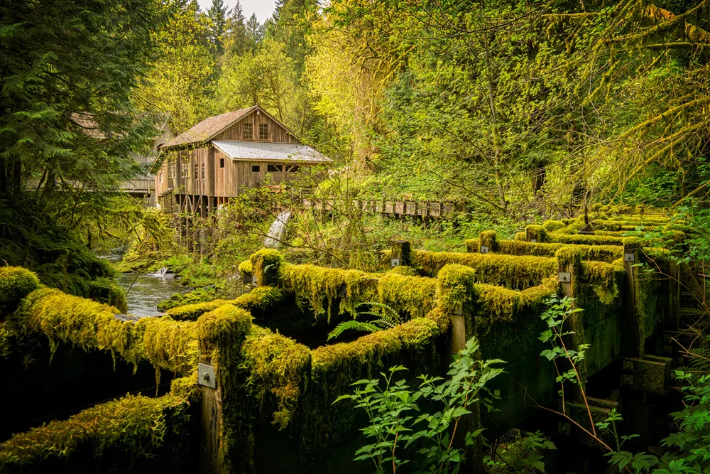 Pacific northwest nx30