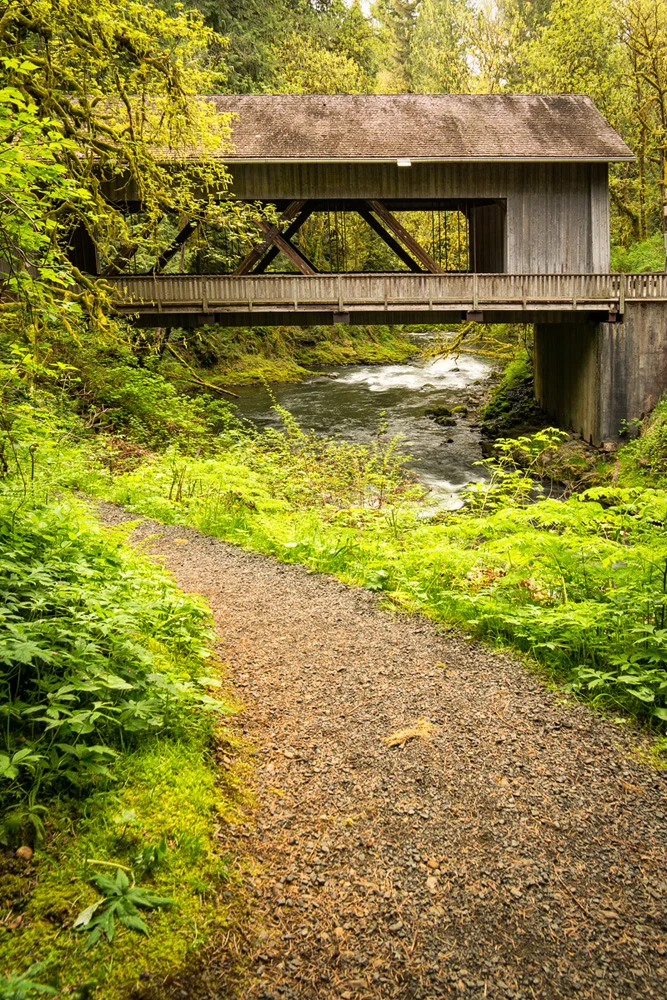 Pacific northwest nx30