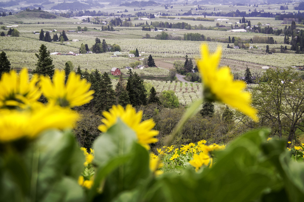 Pacific northwest samsungnx30 mirrorless
