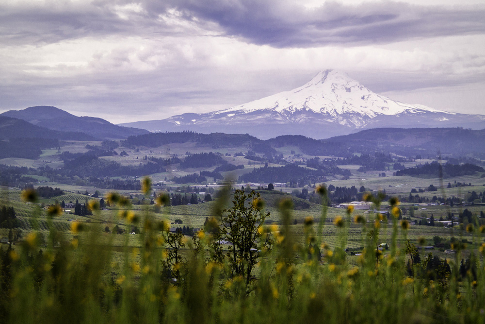 Pacific northwest samsungnx30 mirrorless