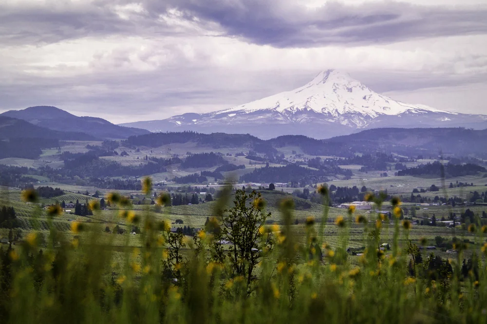 Pacific northwest samsungnx30 mirrorless