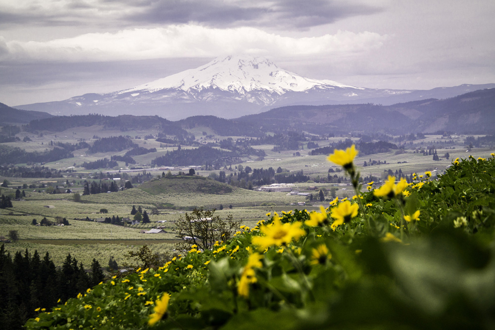 Pacific northwest samsungnx30 mirrorless