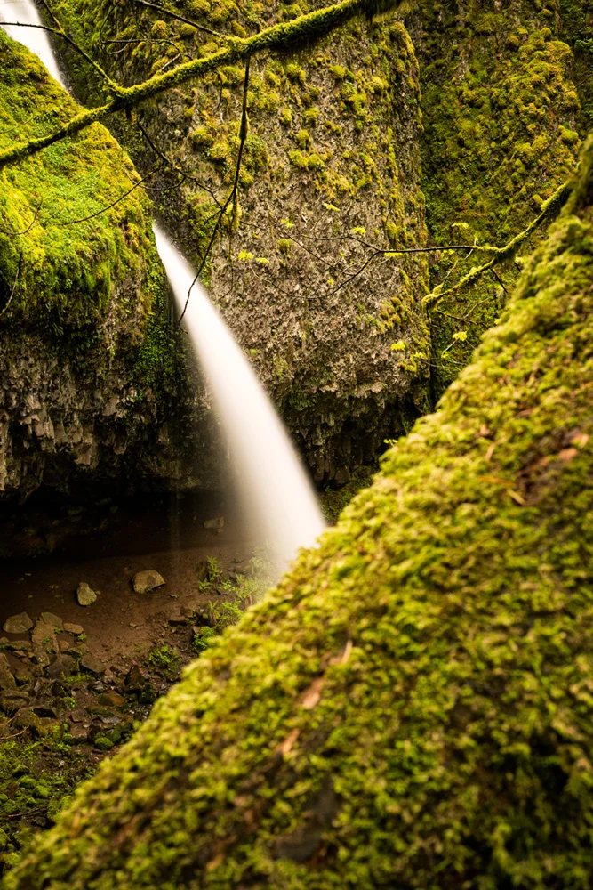 Pacific northwest samsungnx30 mirrorless