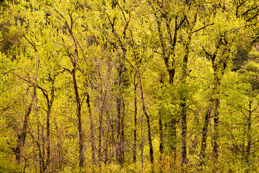 Pacific northwest samsungnx30 mirrorless