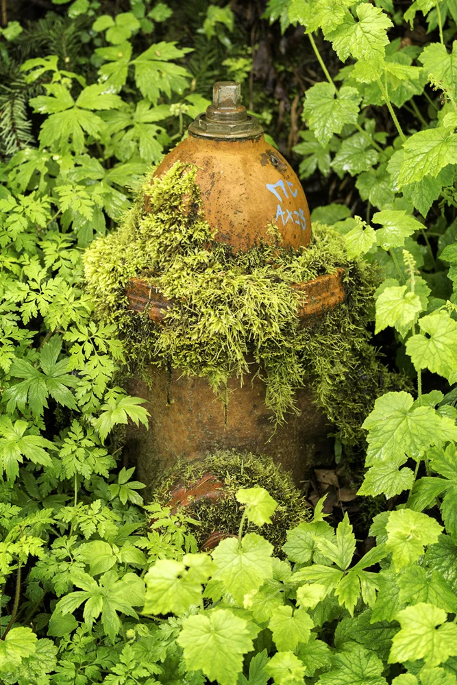 Pacific northwest samsungnx30 mirrorless