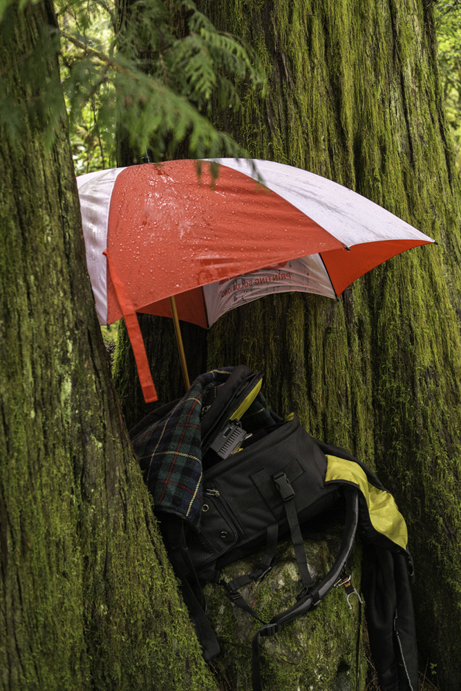 Pacific northwest samsungnx30 mirrorless
