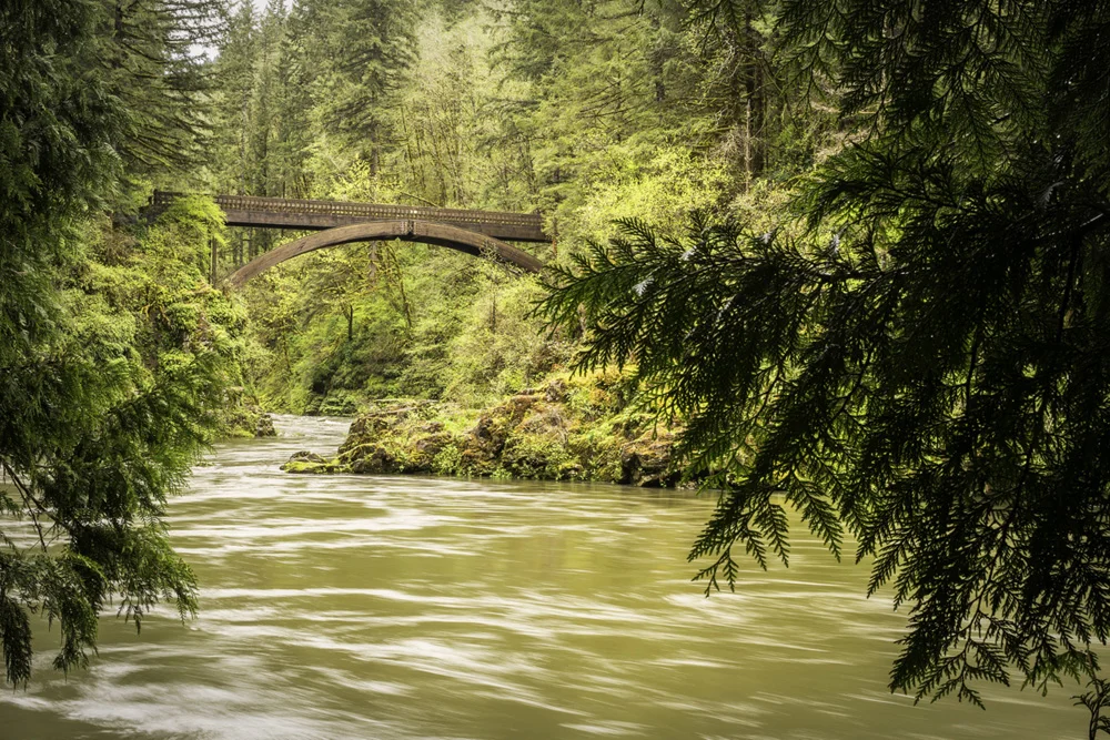 Pacific northwest samsungnx30 mirrorless