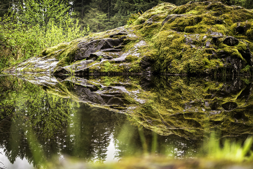 Pacific northwest samsungnx30 mirrorless