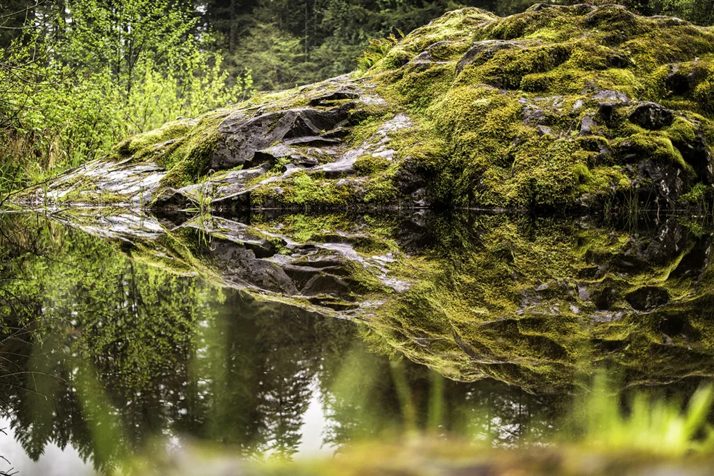 Pacific northwest samsungnx30 mirrorless