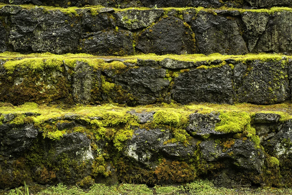 Pacific northwest samsungnx30 mirrorless