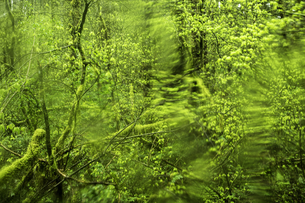 Pacific northwest samsungnx30 mirrorless