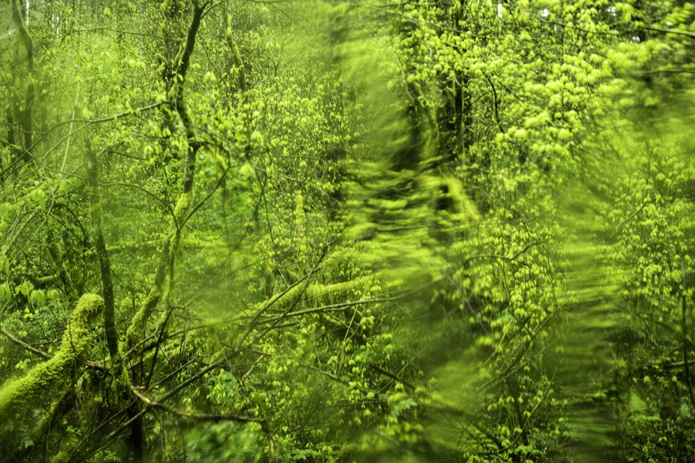 Pacific northwest samsungnx30 mirrorless
