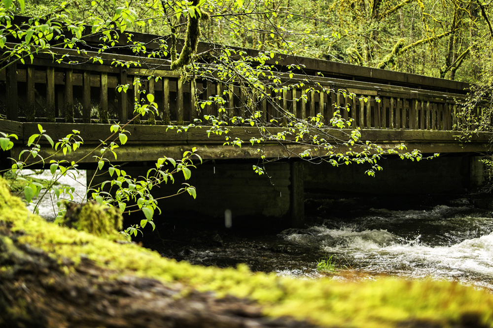 Pacific northwest samsungnx30 mirrorless