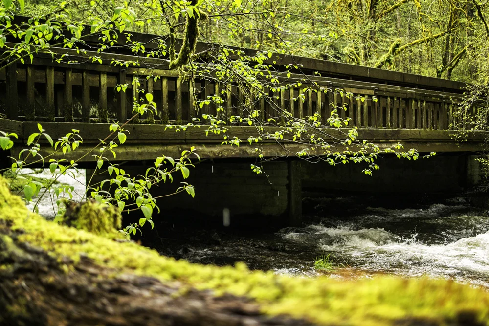 Pacific northwest samsungnx30 mirrorless