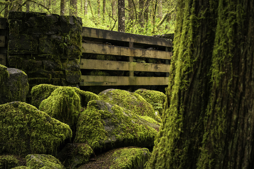Pacific northwest samsungnx30 mirrorless