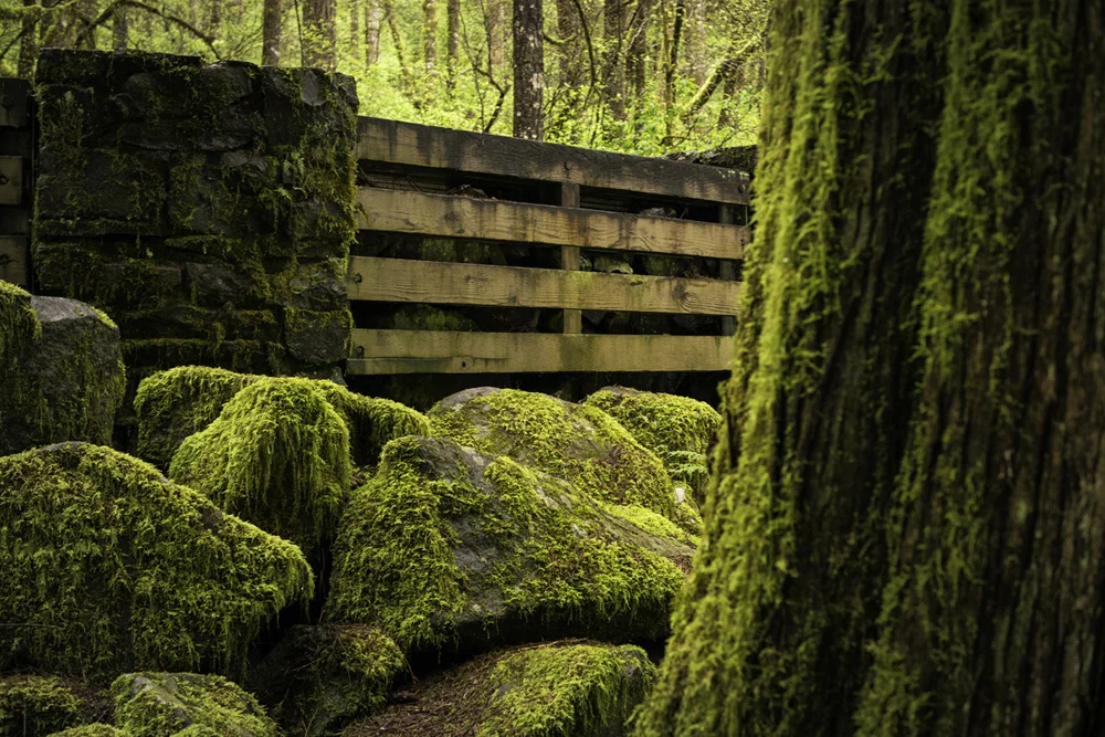 Pacific northwest samsungnx30 mirrorless