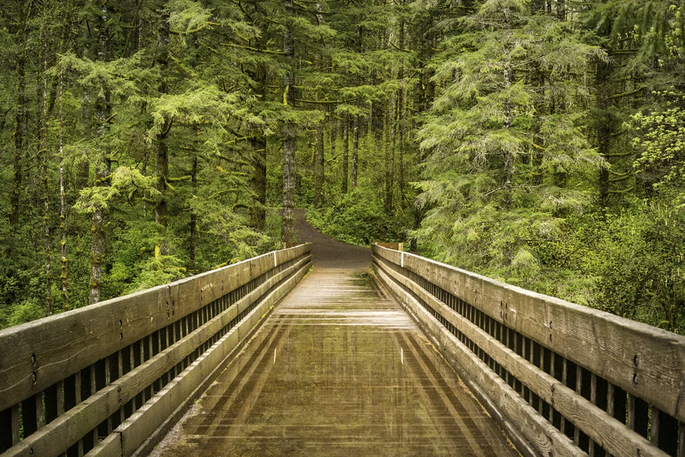 Pacific northwest samsungnx30 mirrorless