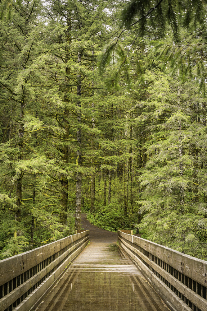 Pacific northwest samsungnx30 mirrorless