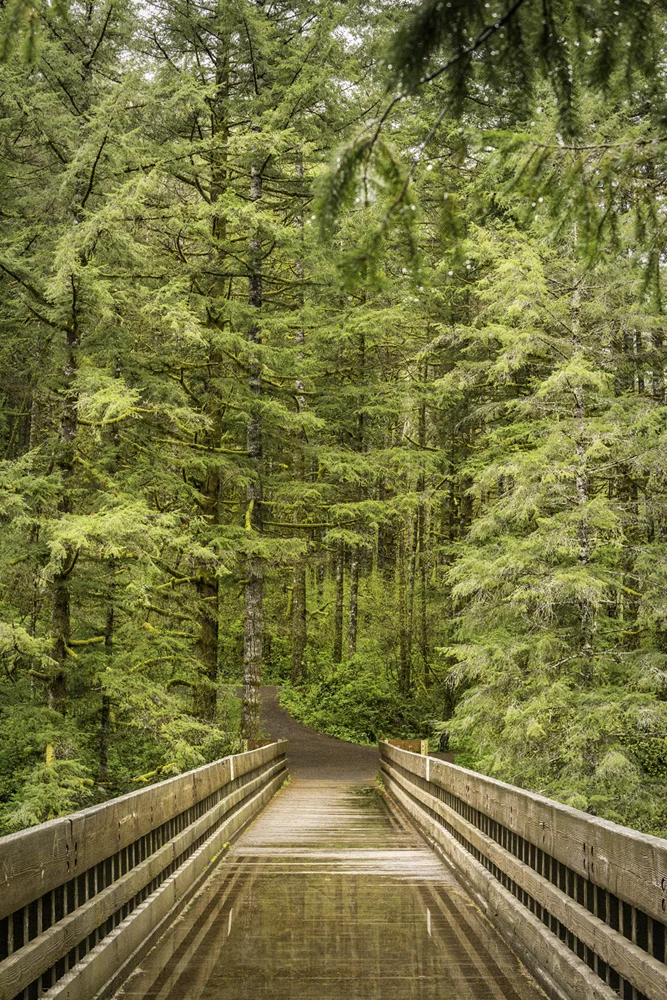 Pacific northwest samsungnx30 mirrorless