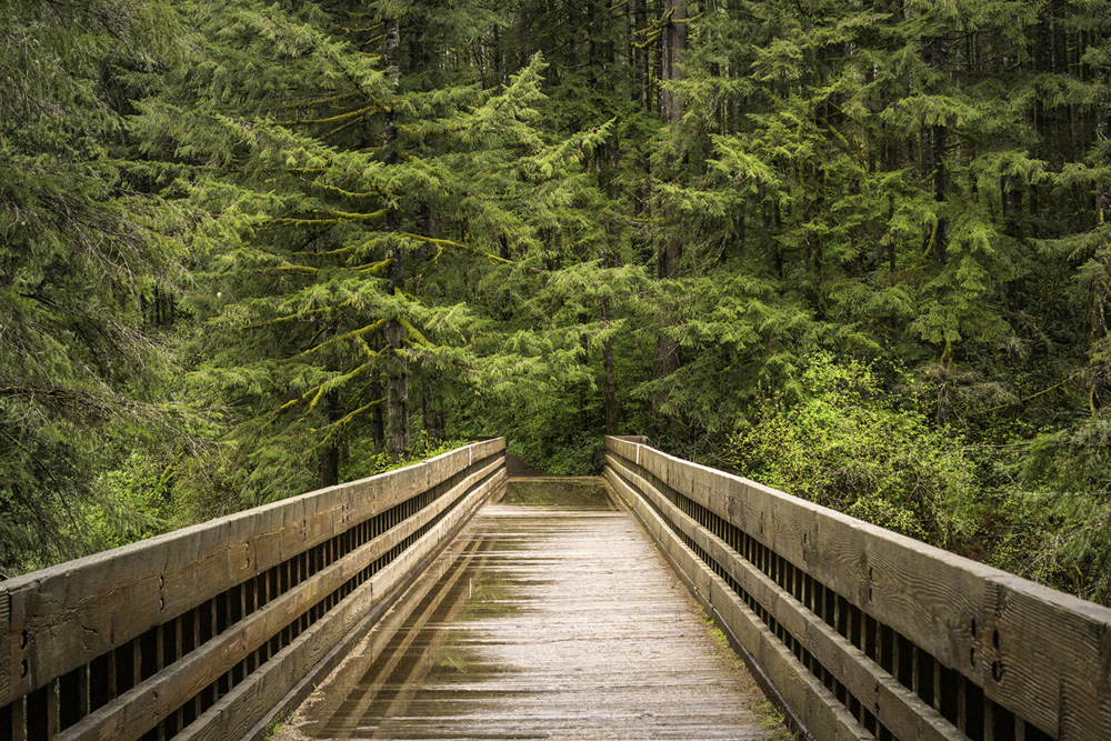 Pacific northwest samsungnx30 mirrorless